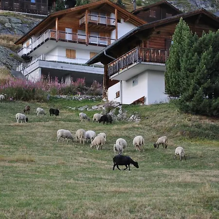Ferien Lauchernalp 아파트